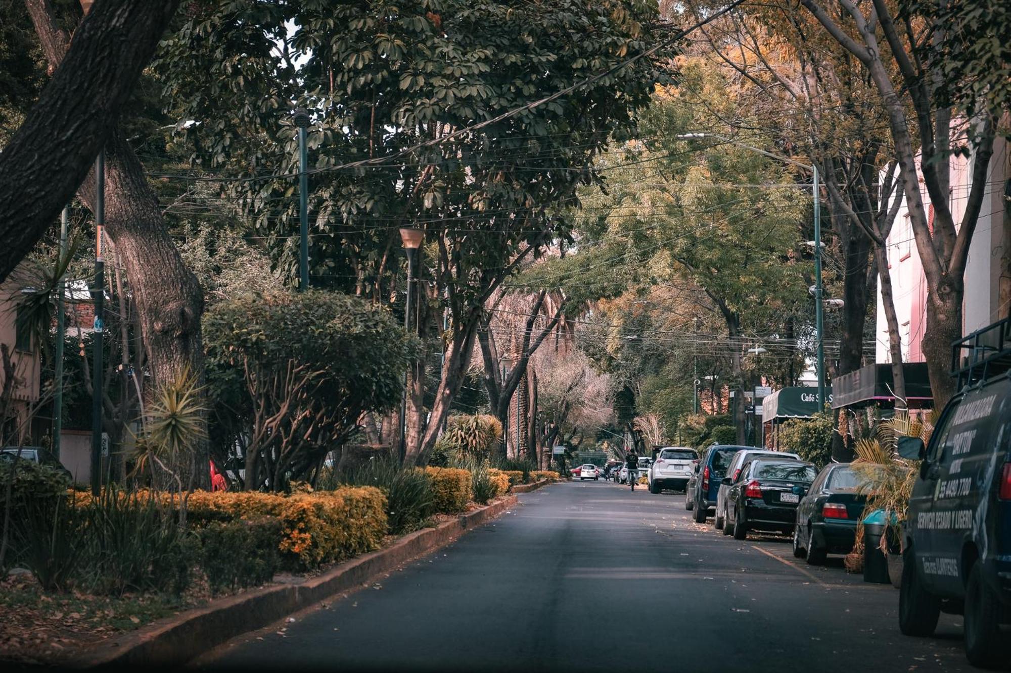Modern Studio, Rooftop Charm, Cdmx Center2 Meksyk Zewnętrze zdjęcie