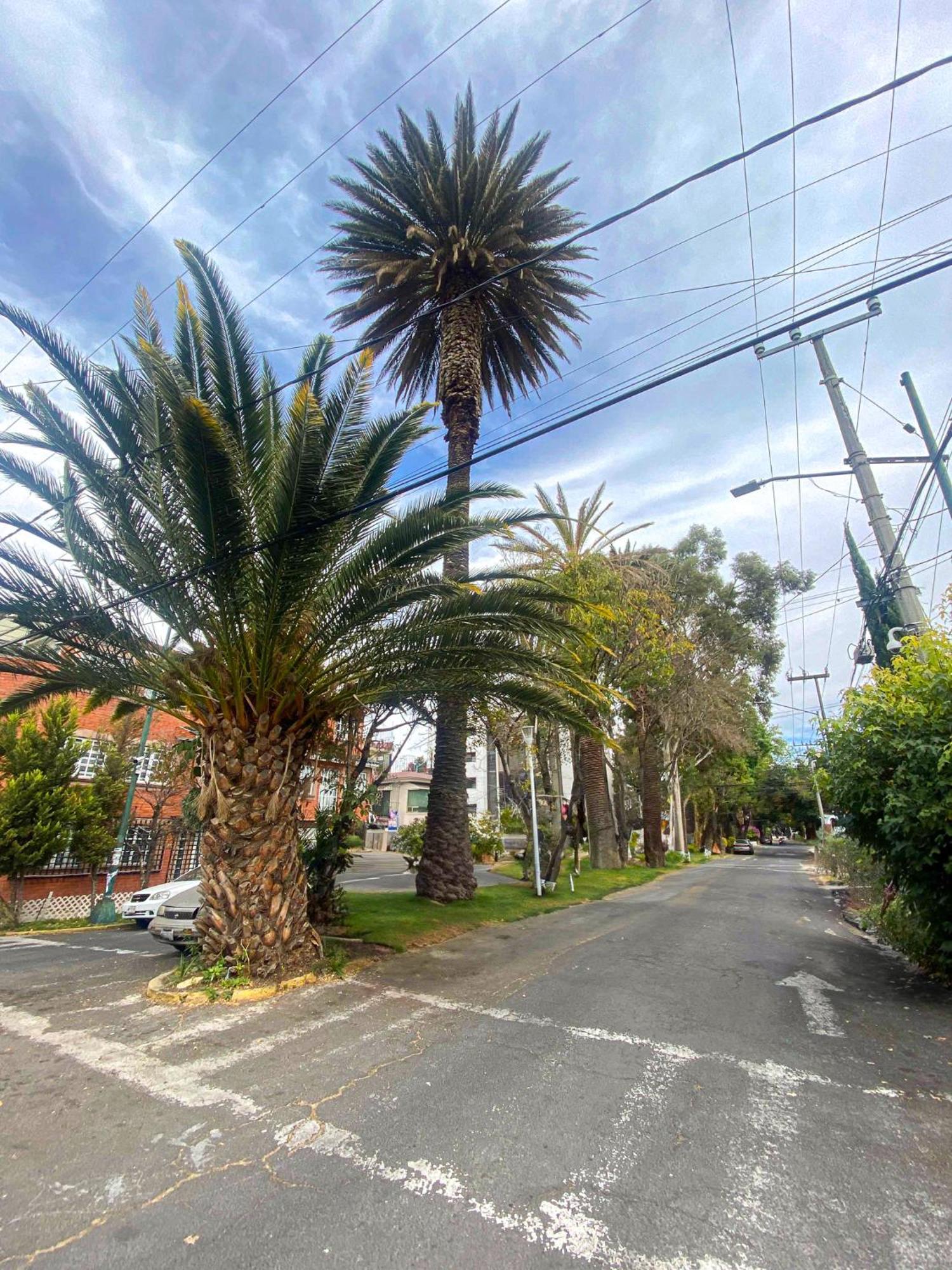 Modern Studio, Rooftop Charm, Cdmx Center2 Meksyk Zewnętrze zdjęcie