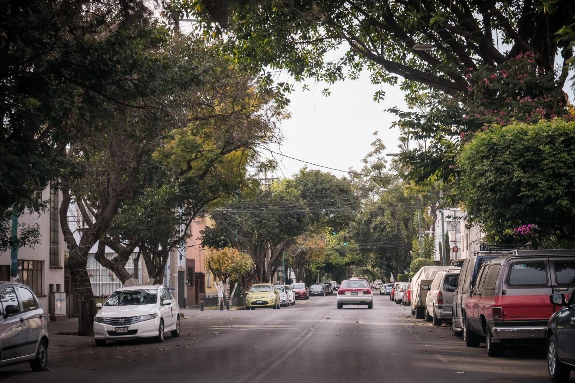 Modern Studio, Rooftop Charm, Cdmx Center2 Meksyk Zewnętrze zdjęcie